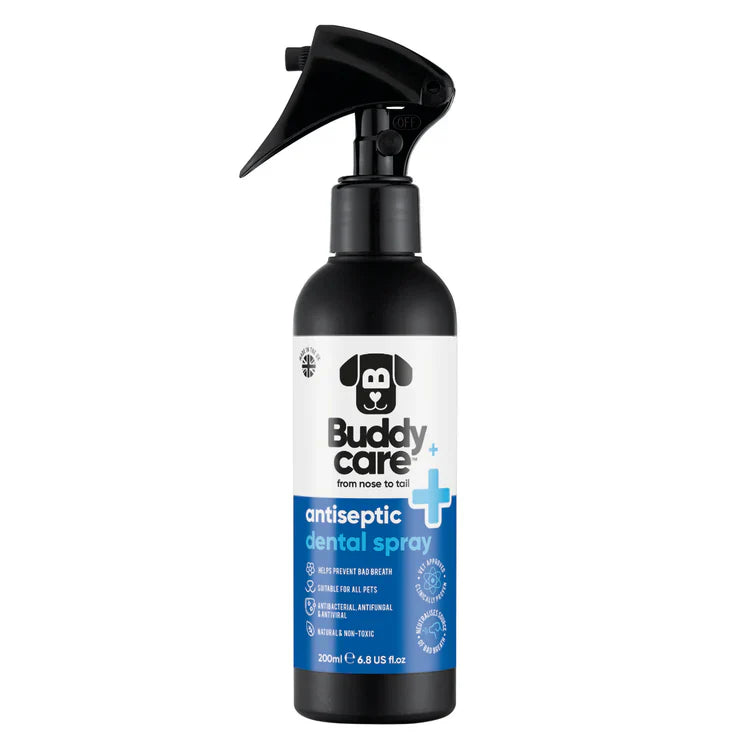 Buddy Care Antiseptic Dental Spray 200ml