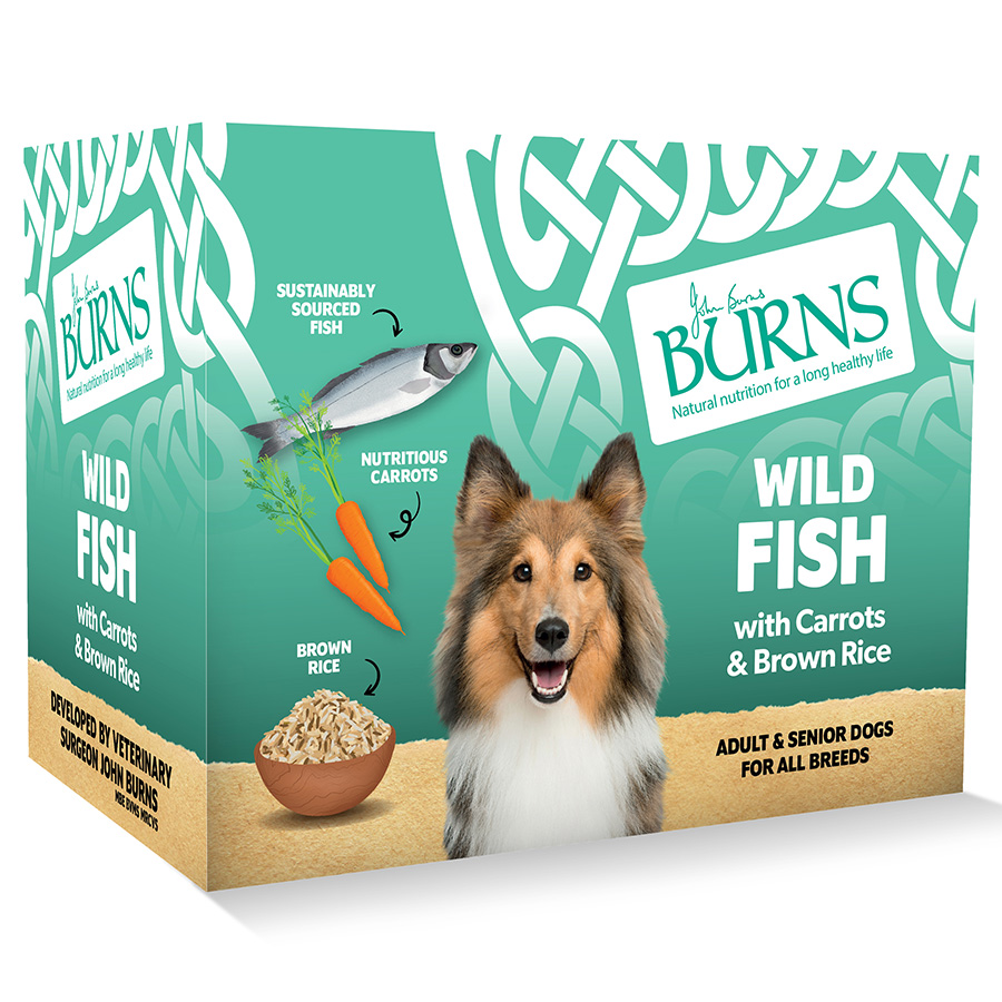 Burns Tray Adult Dog - Wild Fish 6x395g