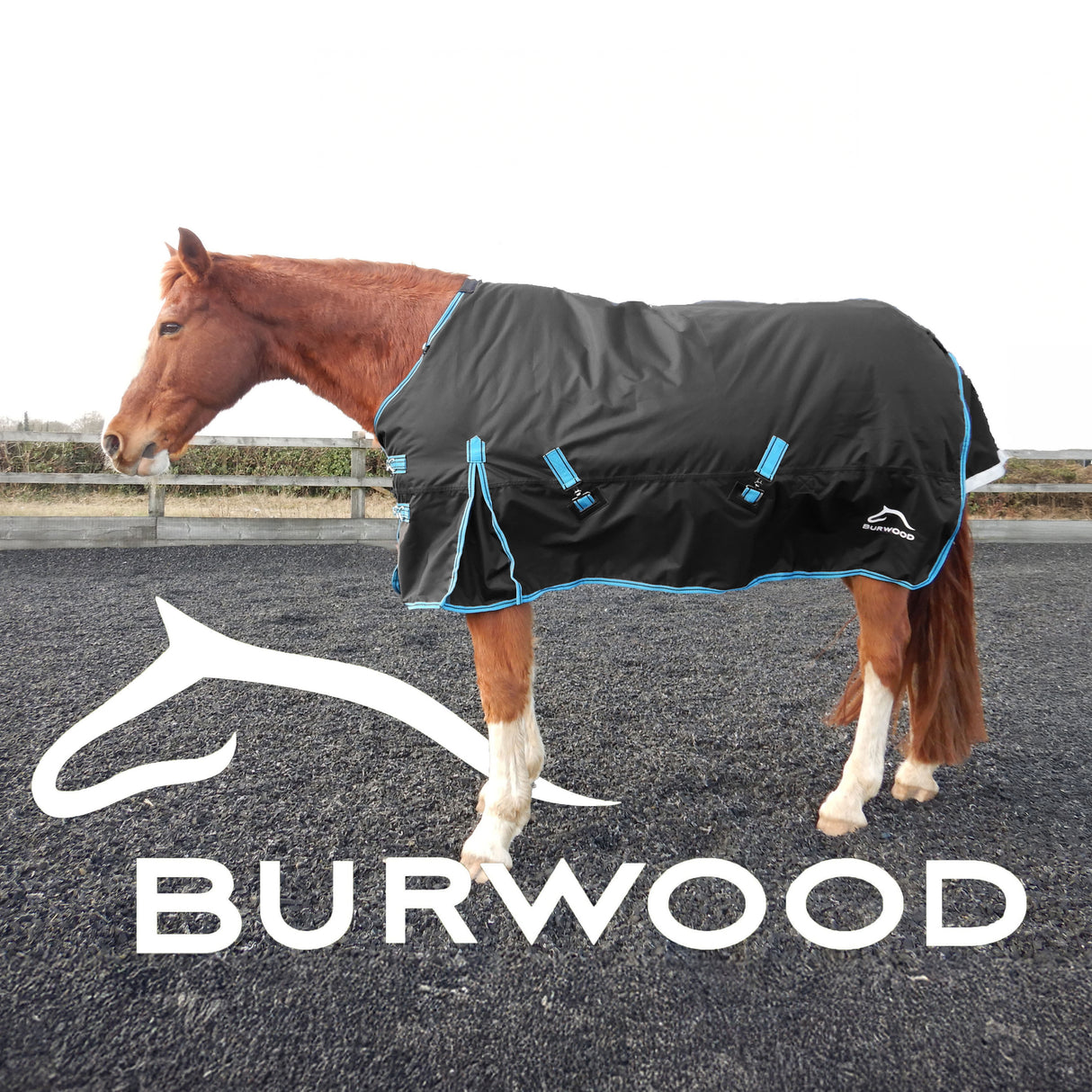 Burwood 200g Turnout Rug Black/Turquoise