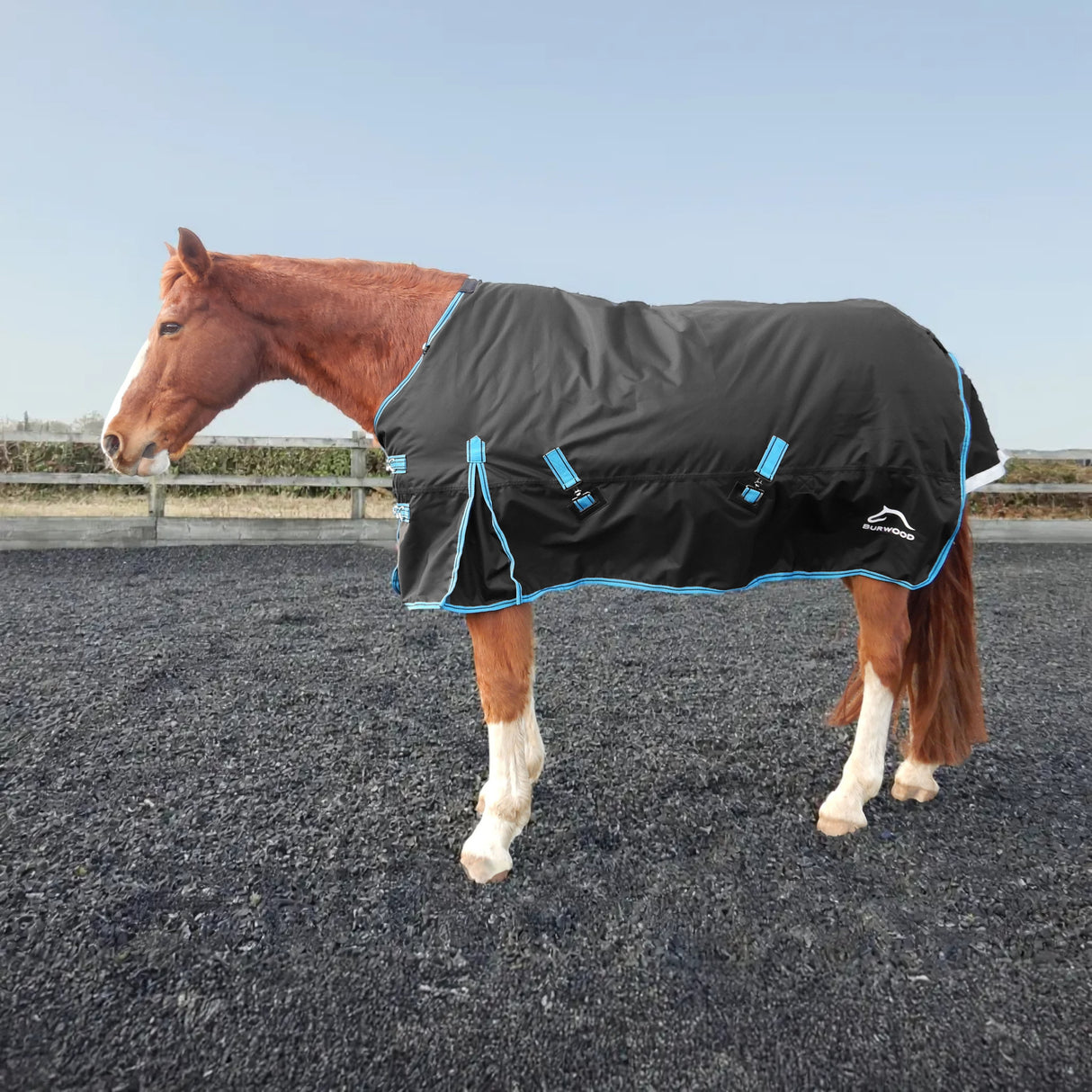 Burwood 200g Turnout Rug Black/Turquoise