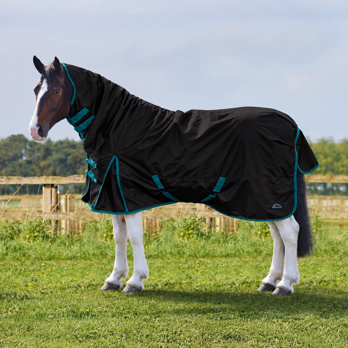 Burwood 200g Fixed Neck Turnout Rug Black/Forest Green