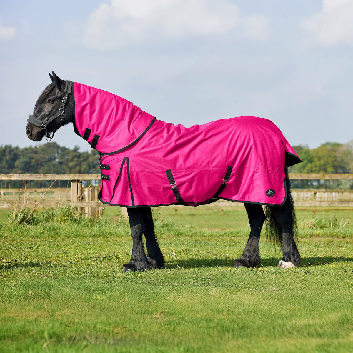 Burwood 50g Detachable Neck Turnout Rug Pink/Black