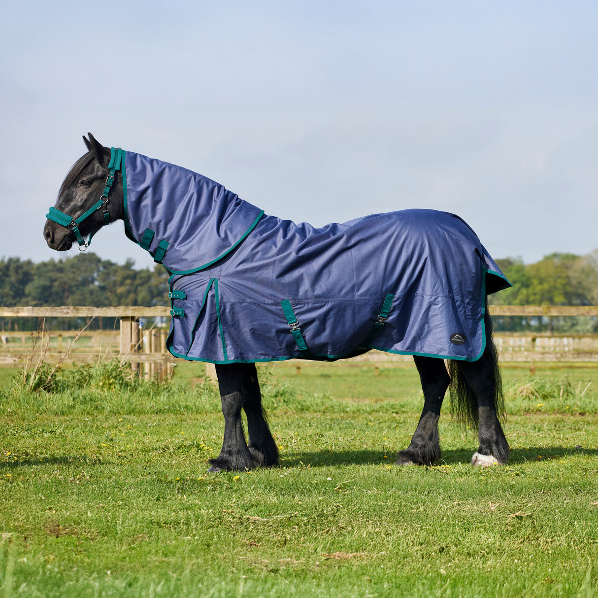 Burwood 100g Detachable Neck Turnout Rug Navy/Teal