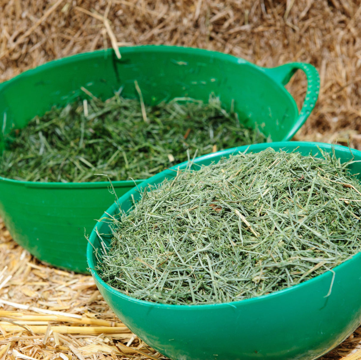 Emerald Green Feeds Grass-Tastic 12.5kg
