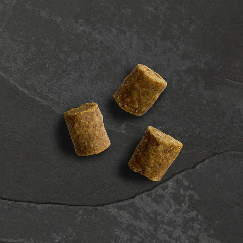 Canagan Dog - Wild Bites Chicken 60g