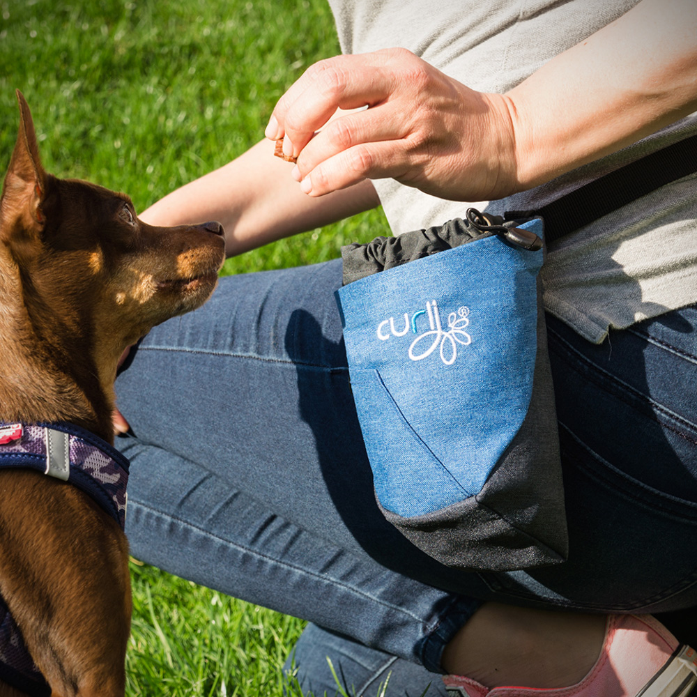 Curli Dog Treat Bag V2 Blue