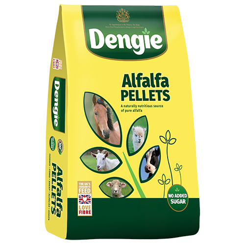 Dengie Alfalfa Pellets 20kg
