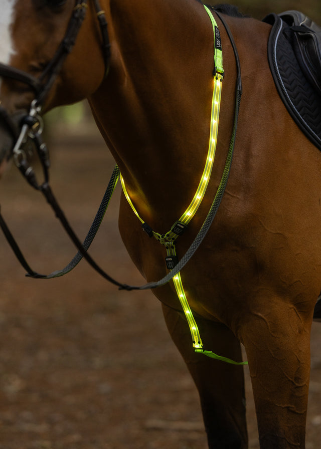Woof Wear LED Neck Band Hi Viz Yellow M / L