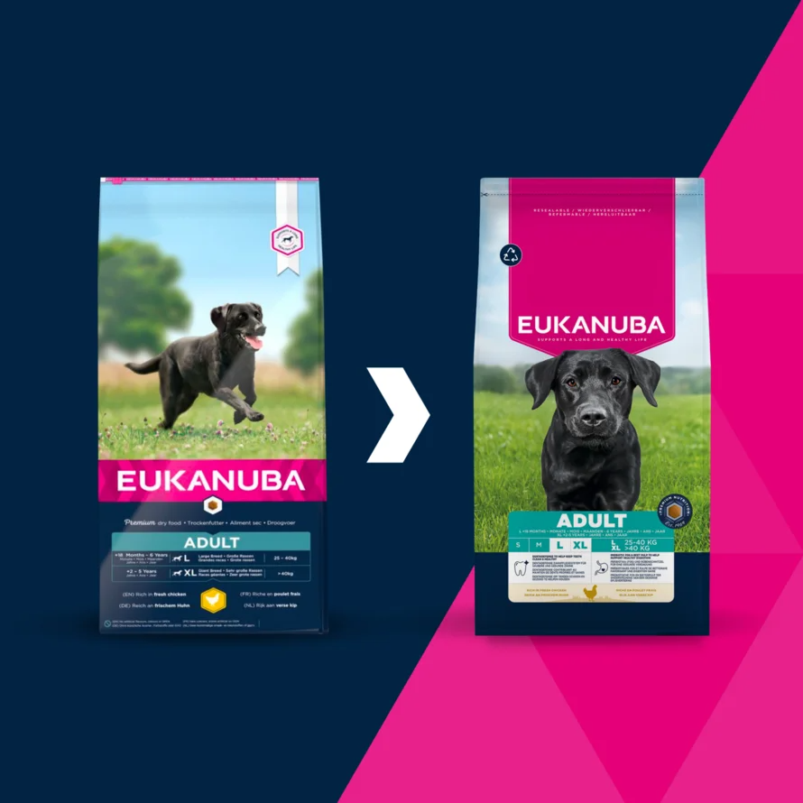 Eukanuba Adult Large Breed Chicken 12kg