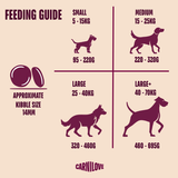 Carnilove Dog - Active Duck & Pheasant Adult 12kg