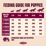 Carnilove Dog - Active Salmon & Turkey Puppy 4kg
