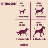 Carnilove Dog - Adult Wet Dog Pouch Multipack 4x300g