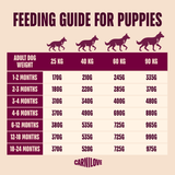 Carnilove Dog - Active Salmon & Turkey Large Breed Junior 12kg