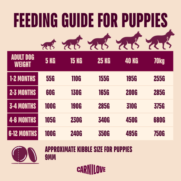 Carnilove Dog - True Fresh Duck Puppy 4kg