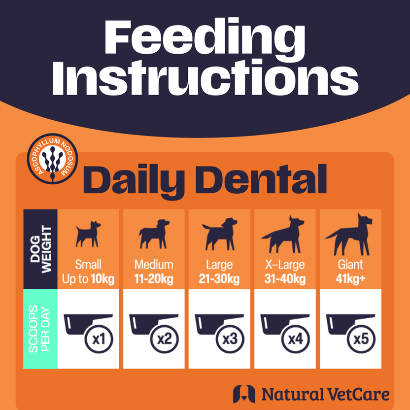NAF NVC Dental Powder 200g