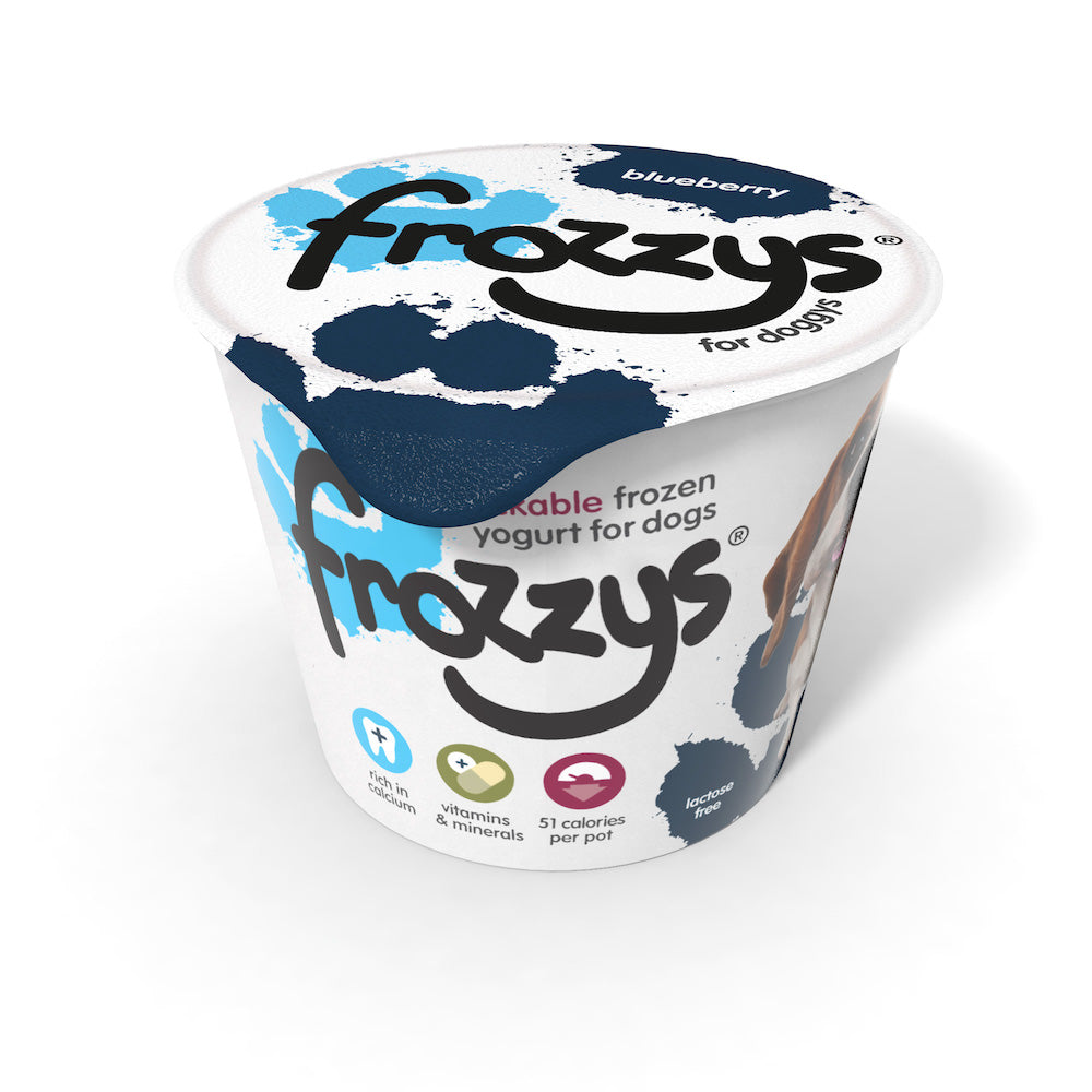 Frozzys Blueberry Frozen Yogurt For Dogs 85g