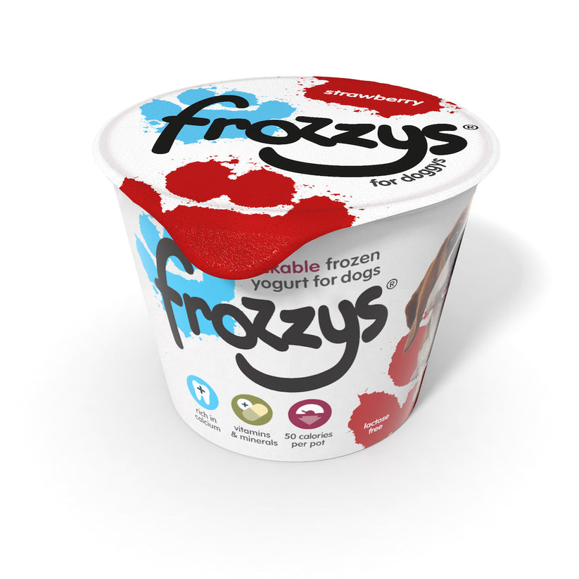 Frozzys Strawberry Frozen Yogurt For Dogs 85g
