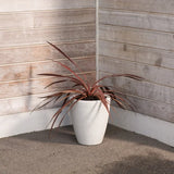 Strata Amesbury Small Tapered Round Planter Stone
