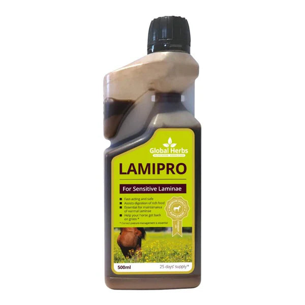Global Herbs LamiPro Liquid 500ml