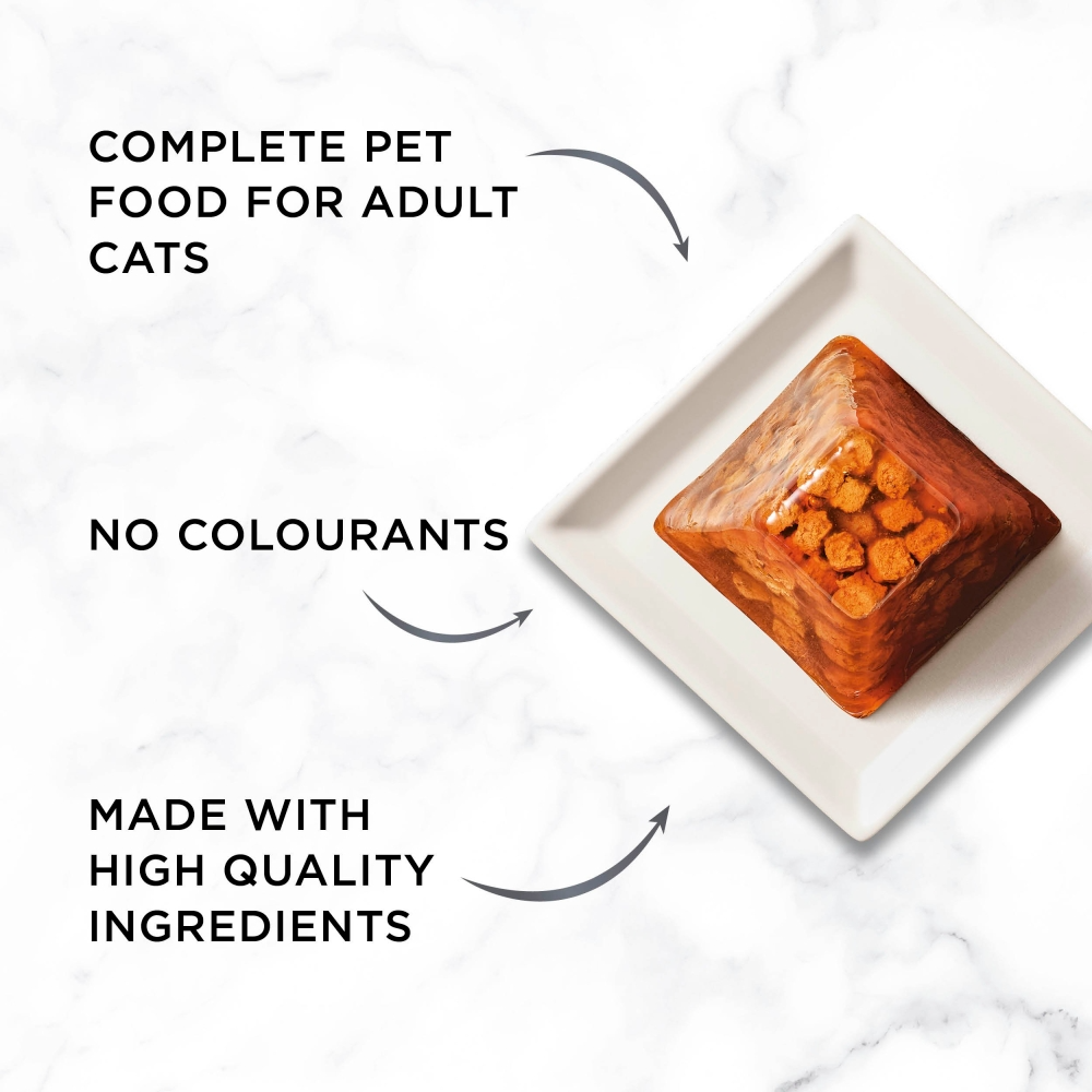 Gourmet Revelations Fine Cuts In Jelly Salmon 4x57g
