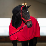 Imperial Riding Headcollar IRHDevil Red