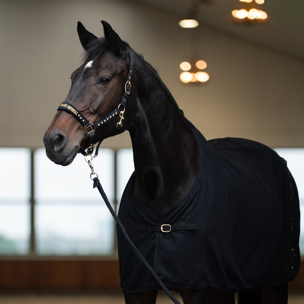 Imperial Riding Headcollar IRHDevil Black