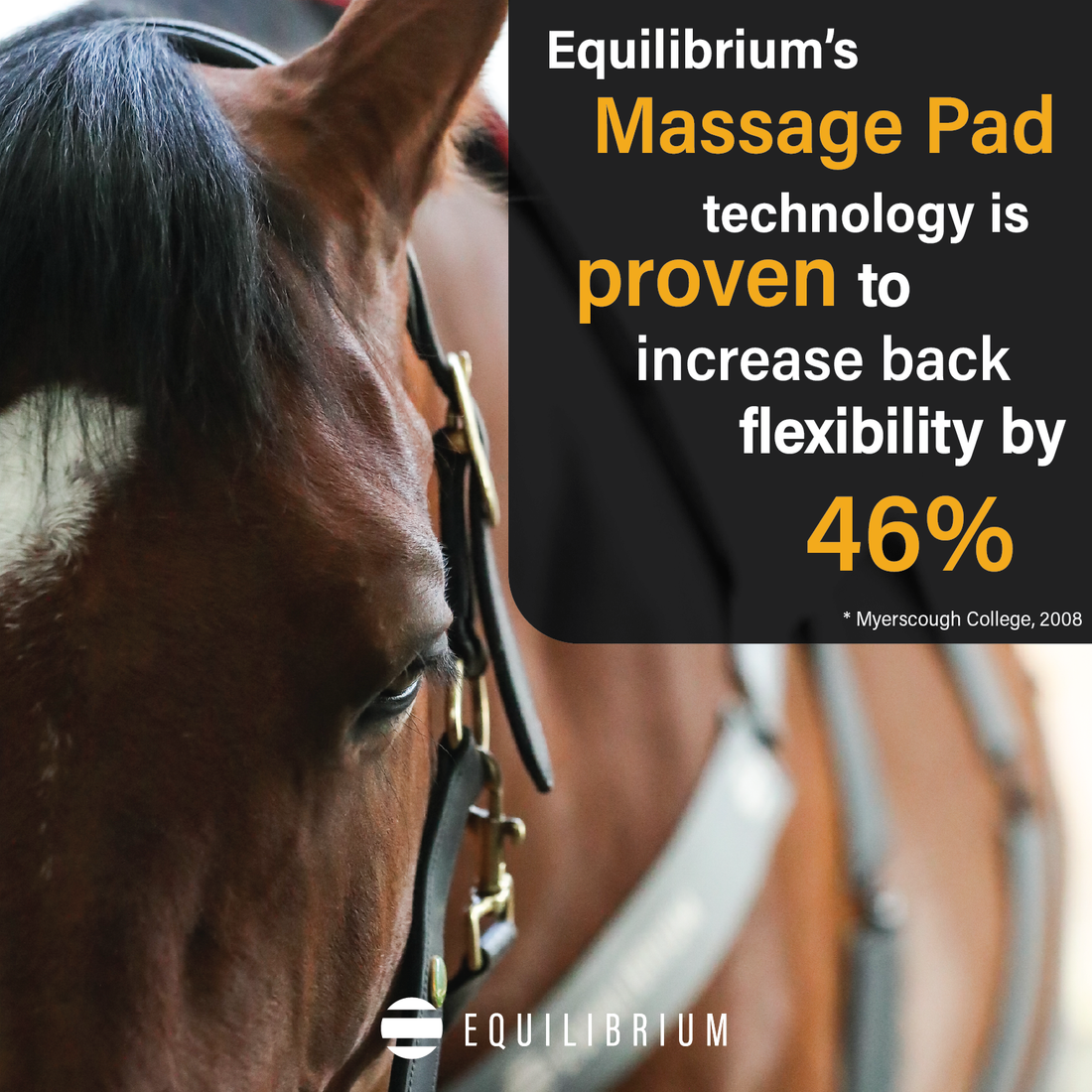 Equilibrium Heatsense Massage Pad Standard