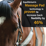 Equilibrium Heatsense Massage Pad Standard