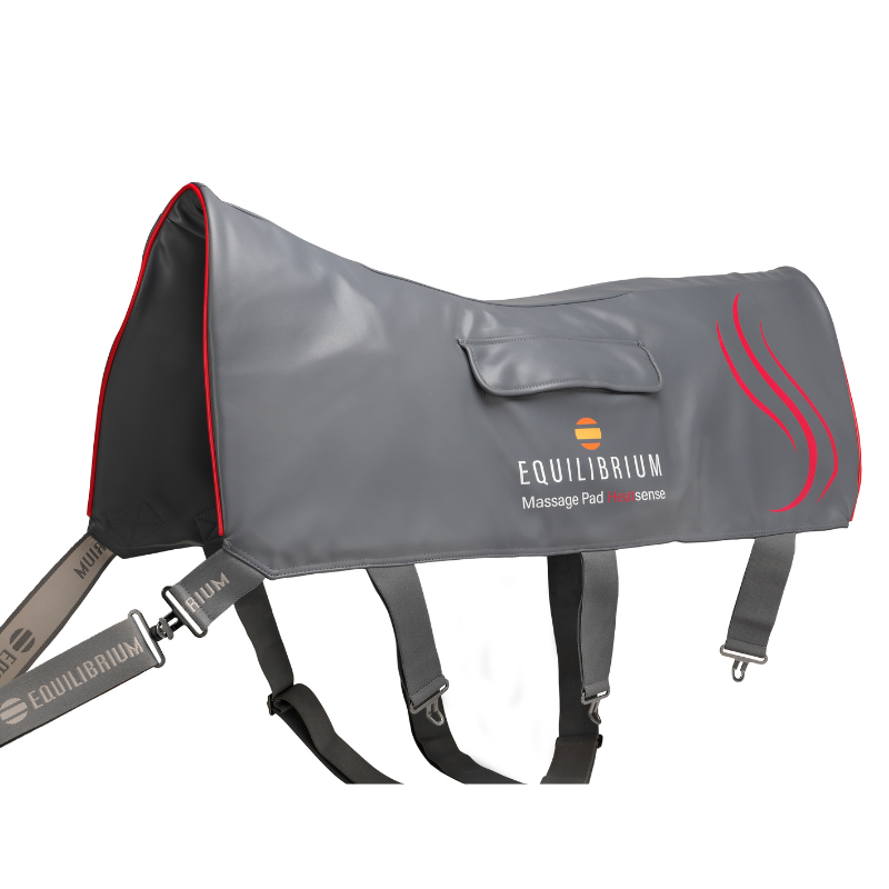 Equilibrium Heatsense Massage Pad Standard