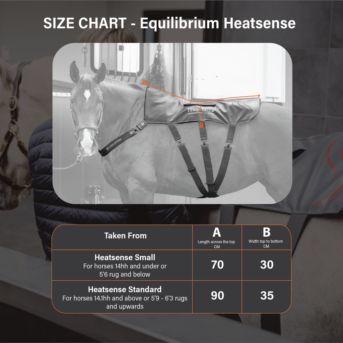 Equilibrium Heatsense Massage Pad Standard