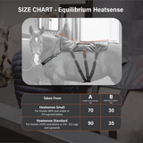 Equilibrium Heatsense Massage Pad Standard