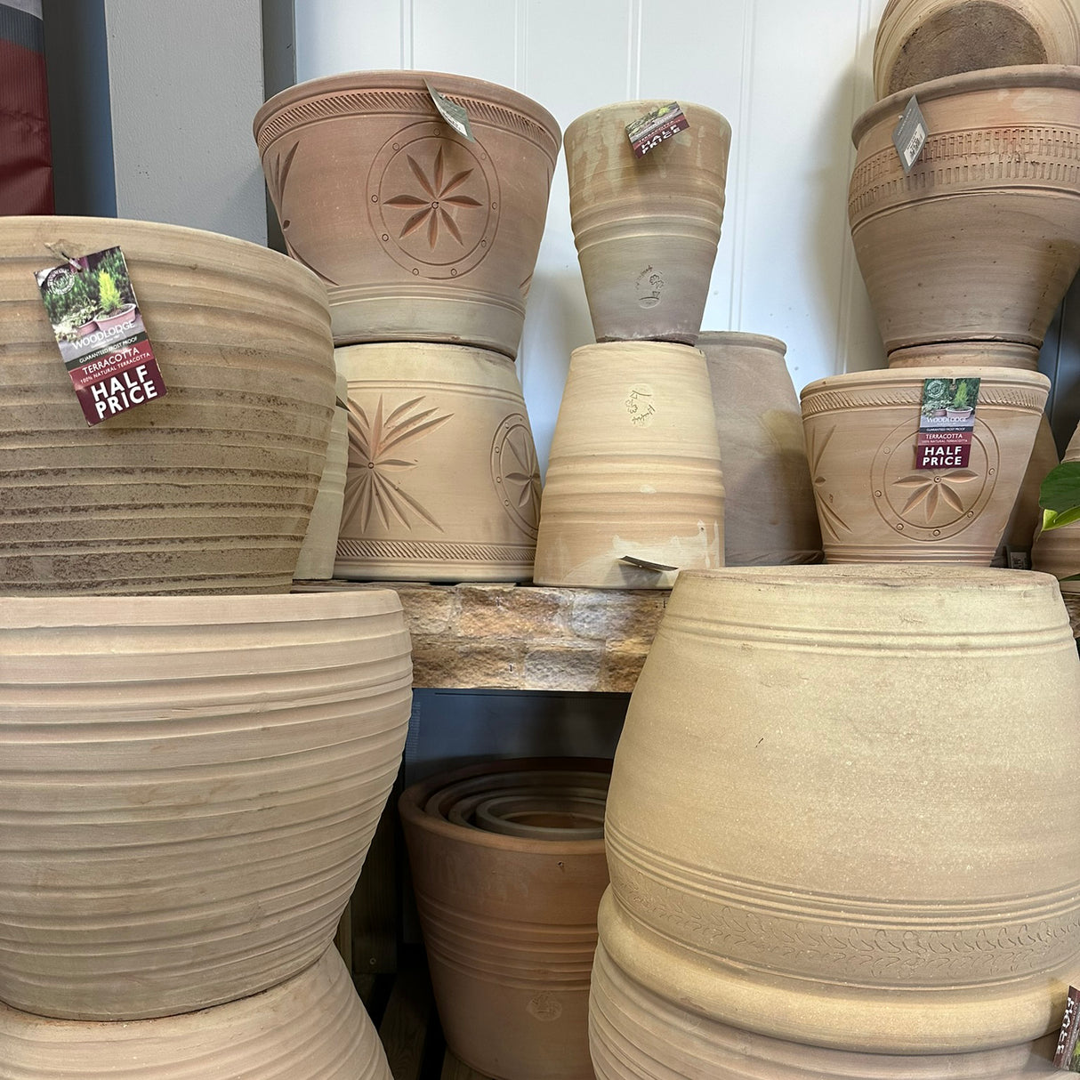 Woodlodge Hops Terracotta Pot