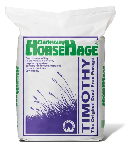 Horsehage Timothy (Purple)