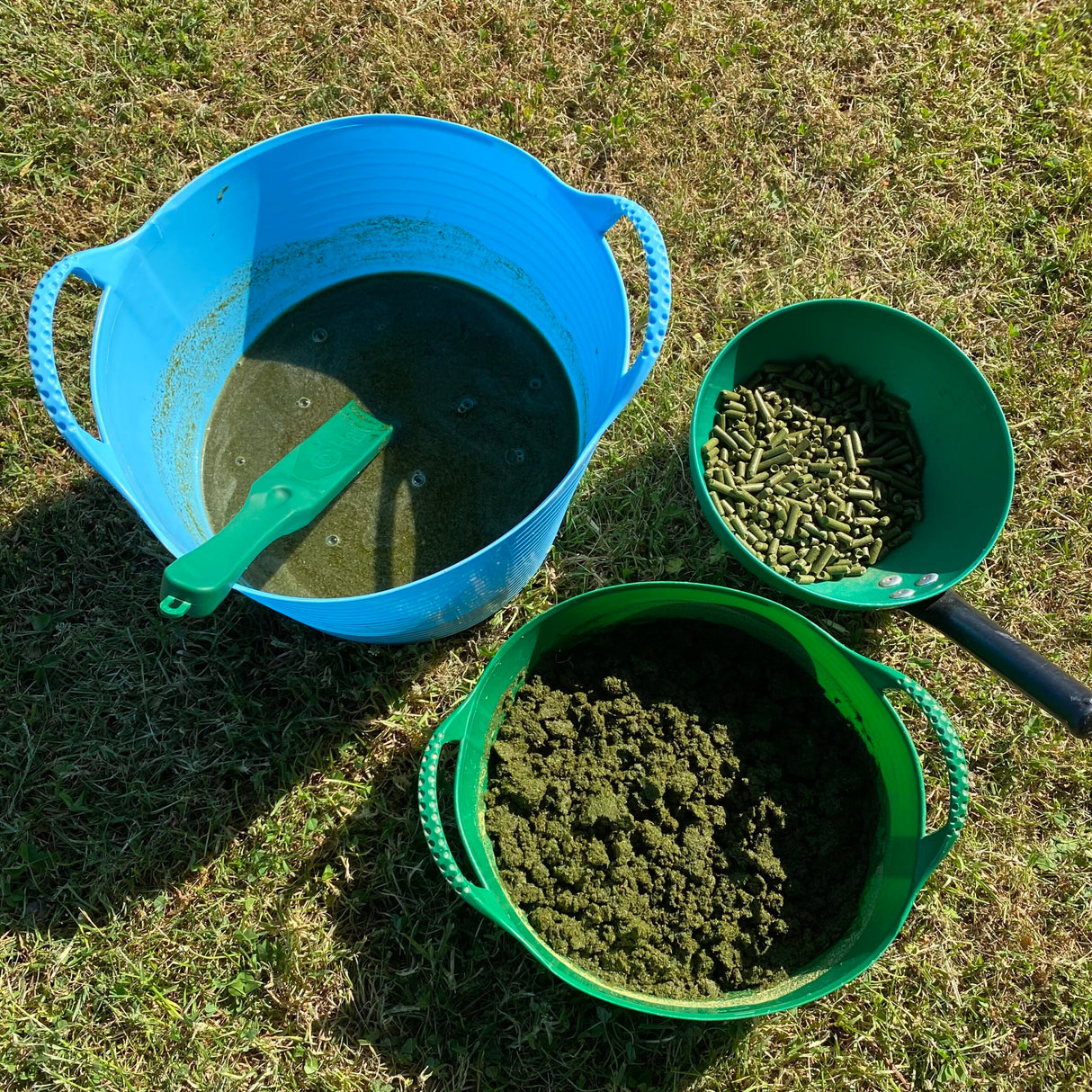 Emerald Green Feeds Grass Pellets 20kg