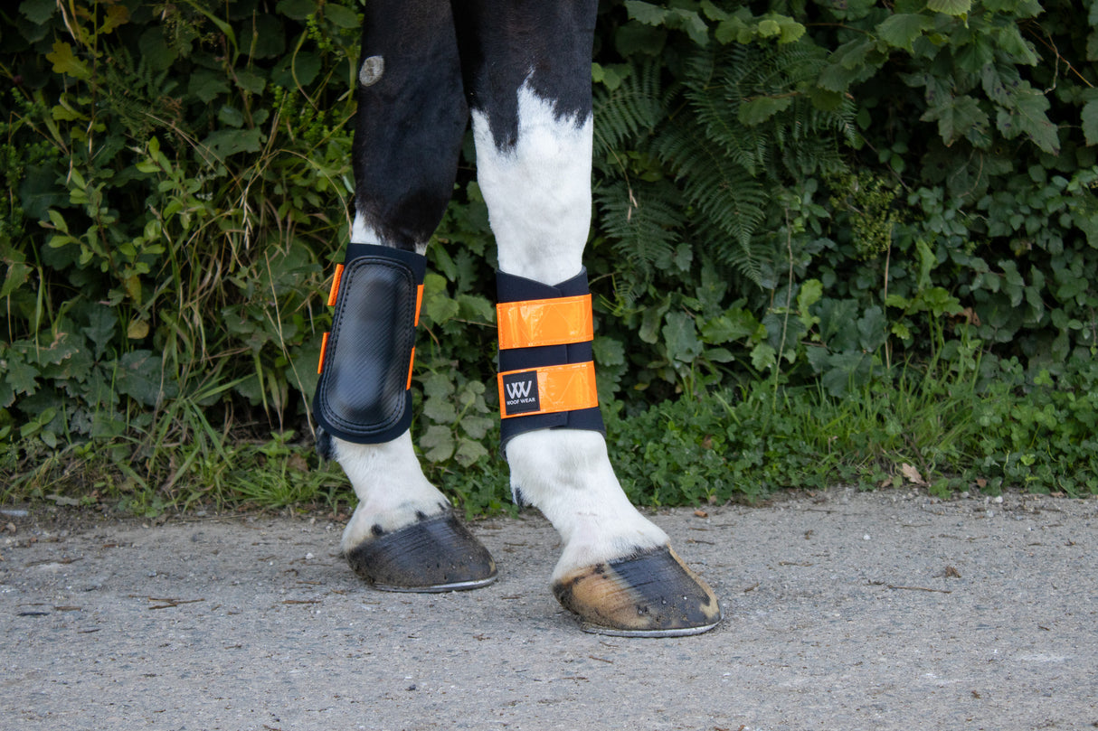 Woof Wear Reflective Club Brushing Boot Hi Viz
