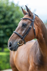Le Mieux Arika Cavesson Bridle