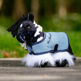 Le Mieux Tiny Pony Razzle