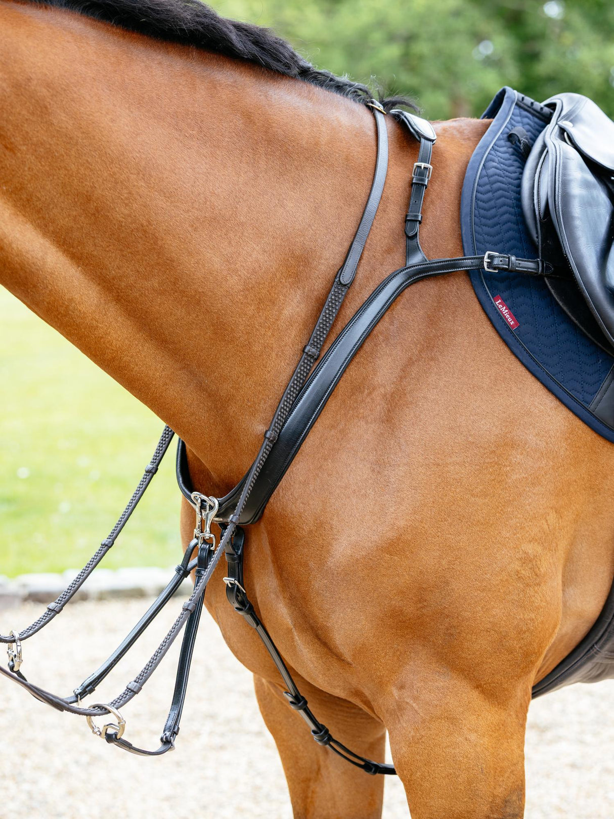 Le Mieux Kudos Bridge Breastplate