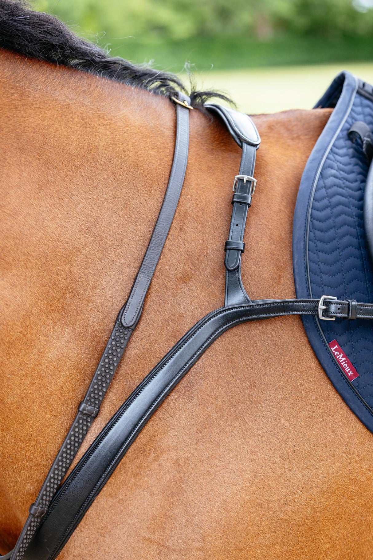Le Mieux Kudos Bridge Breastplate