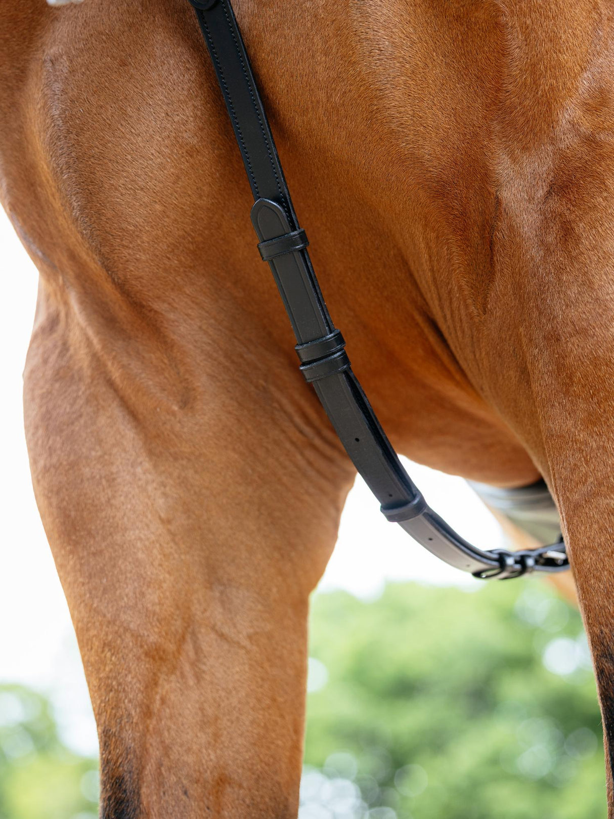 Le Mieux Kudos Bridge Breastplate
