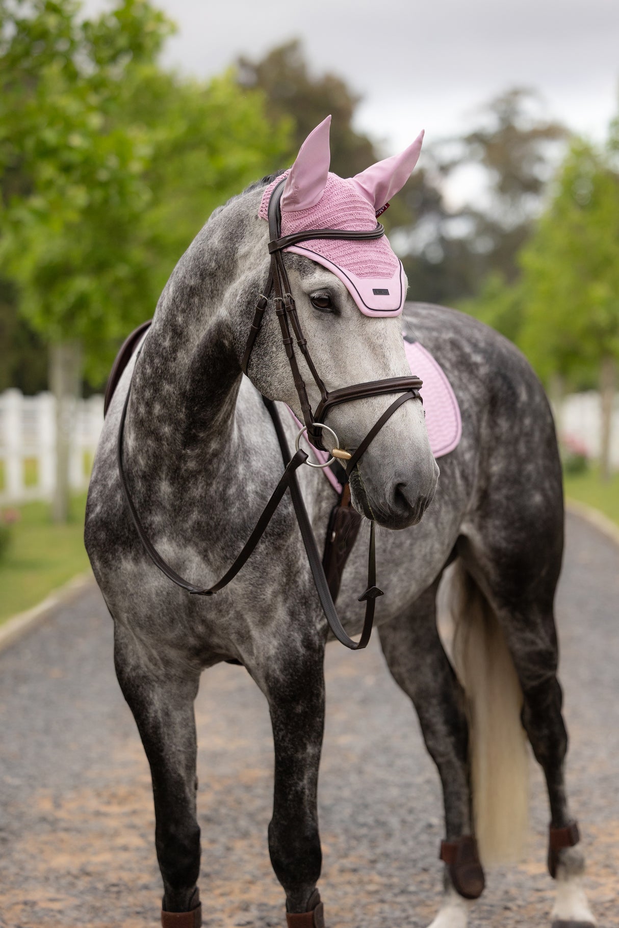 Le Mieux Essence Acoustic Fly Hood Fondant