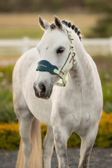 Le Mieux Mini Vogue Headcollar & Leadrope Macaron