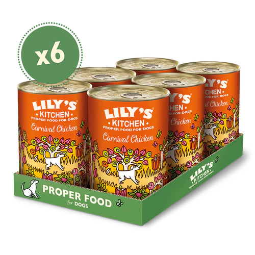 Lily's Kitchen Dog Tin Carnival Chicken 6x400g