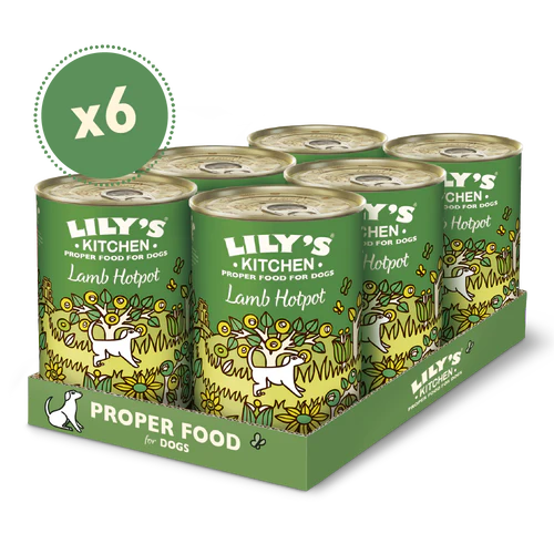 Lily's Kitchen Dog Tin Lamb Hotpot 6x400g