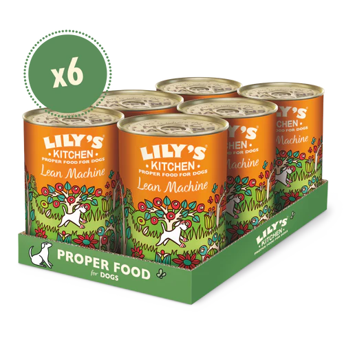 Lily's Kitchen Dog Tin Lean Machine 6x400g