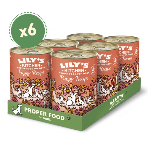 Lily's Kitchen Dog Tin Chicken Dinner for Puppies 6x400g