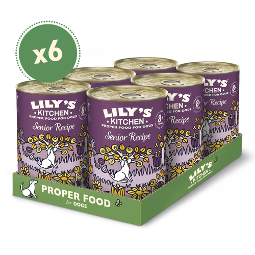 Lily's Kitchen Dog Tin Senior Recipe 6x400g