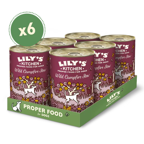 Lily's Kitchen Dog Tin Campfire Stew 6x400g