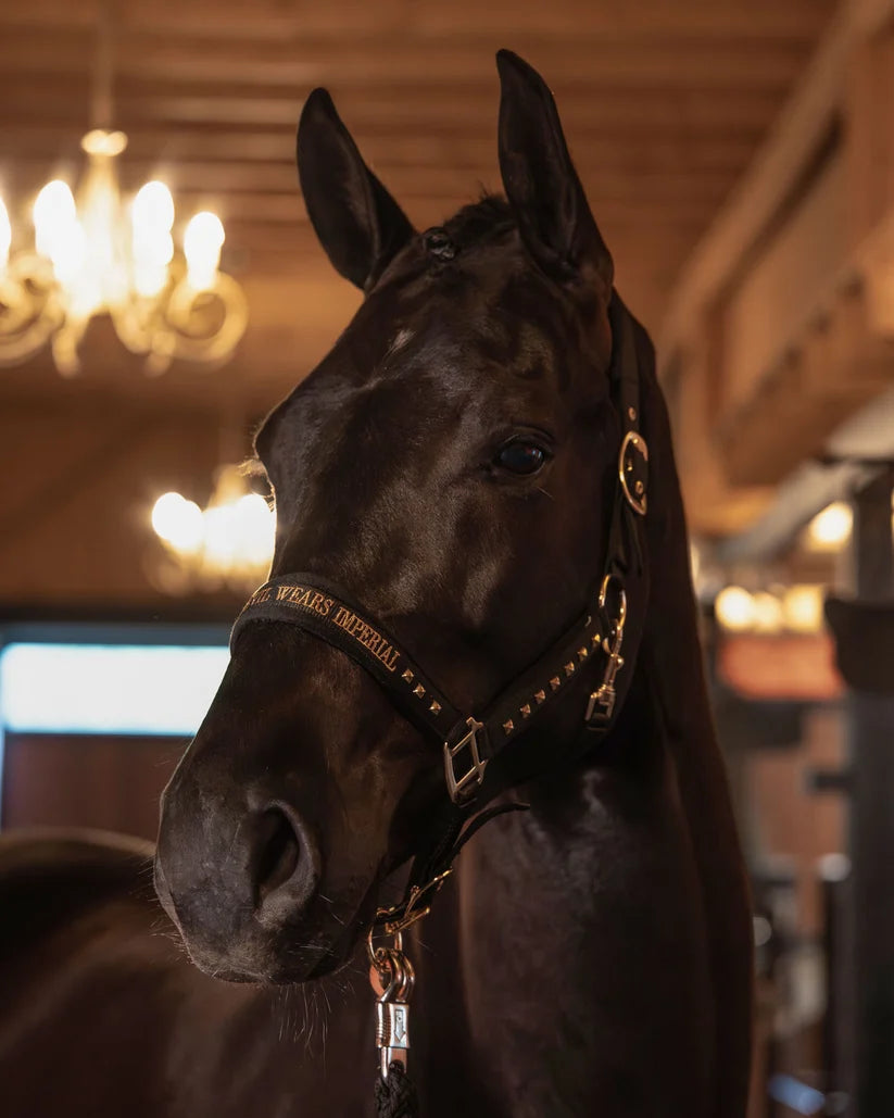 Imperial Riding Headcollar IRHDevil Black