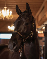 Imperial Riding Headcollar IRHDevil Black